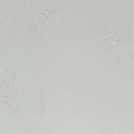 Carbonate de Magnésium - 100g