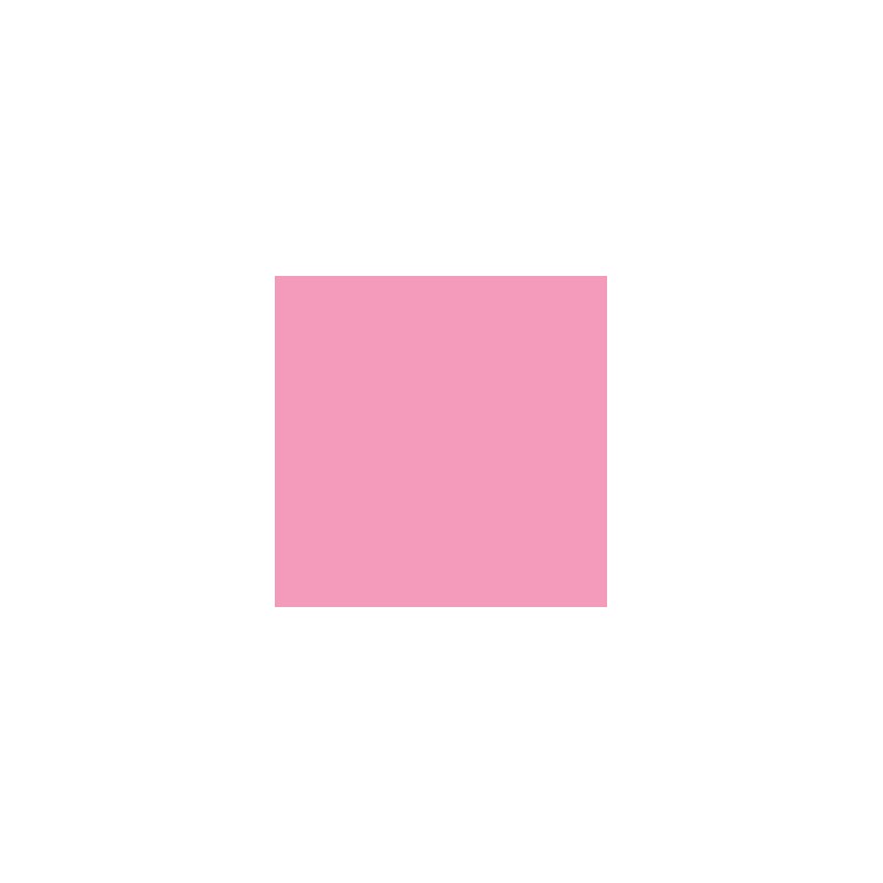 colorant rose néon 100g