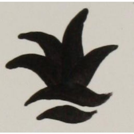 Colorant noir 100g- 1280 degré max