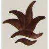 Colorant marron foncé 100g-