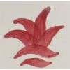Colorant carmin 100g