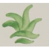 Colorant vert pomme 100g