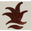 Colorant marron EOMC 306 - 100g