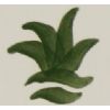 Colorant vert olive - 100g