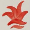 Colorant corail - 100g