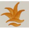 Colorant orange - 1kg