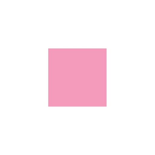Colorant rose néon 100g